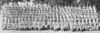 87th Signal Company  - 87th Infantry Division  in Honor of John S. Nelson II : John S. Nelson II was an officer in the 87th Signal Company, responsible for the 87th Signal Company photos.  

His son, John III, also has censor's proofs of many combat and operations photos. 
He also has some interesting memorabilia...a section of communications cable they removed from behind enemy lines along the Siegfried line, a waffen ss sword that he believes came from Buchenwald. 

Per Mr. Nelson's son:
"Friends,
I have gone to Buchenwald each of the past two years - along with Koblenz, Bastogne, etc - trying to figure out where they really were. 
The written records are incomplete and contradictory. 

My dad died long ago after a tough life. It would be most helpful to find someone who knew him. 

I went to the 2003 reunion courtesy of Gladwin but no one there knew anyone from the 87th Signal Company. 
It also seemed like these were mostly enlisted men and the officers were - well, officers and separate.
 
So I could really use some actual details, like how did they get to Buchenwald to take the photo in this gallery I submitted to you.  
Can anyone help?
 
Not many of my materials are scanned as they are in a scrapbook that I have been reluctant to disassemble. 
But I could if they would be of real value.
 
Thanks in advance for any advice you can give."
 
John S. Nelson III
Son of John S. Nelson II; 87th Signal company

Update - June-2007
Notice to Mr. Nelson III,
Please contact me - I have lost your email address! - The 87th Association and many others are requesting to contact you with questions and info. 
Please place email here under comment, or email me - 
My email can be found on the 87th Infantry Division Associatioin web page:
http://www.87thinfantrydivision.com

Thank you so much.
Debra H. - gallery moderator
