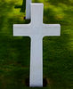 history06 > St. Avold - France

WILLIAM E. RICHARDS, JR. - Massachusetts
PFC - 345th Infantry Regiment
87th Division
December 17, 1944

JUNE - 2007 - per email from Karen (Gorman) Baker.
Her Dad (Edward J. Gorman) was in the 345th Regiment (Company G). 
Karen said she just received the most recent Golden Acorn News, 
and one of the stories reminded her husband that he had taken pictures of these grave markers while on a trip to Europe several years ago. 
They are from 2 different military cemeteries (Hamm in Luxembourg and St. Avold in France). 

There is also a photo of the 87th Division plaque at the Bastogne memorial. 

She wanted to pass them along in tribute....and to anyone who might be interested. 
If any family member of these men see this - please let us know.

Thanks to wonderful people like the Gorman's - who pull out their pictures and send them to this site - for all to view. 

.. That's what this link of photos galleries are all about... 

Debbie H. - gallery moderator

For info on 87th Infantry Division Association:
http://www.87thinfantrydivision.com