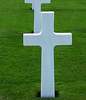 history06 > St. Avold - France

ROBERT H. LIEDIKE - Colorado
Capt. - 346th Infantry Regiment 
___Division
December __, ___.


JUNE - 2007 - per email from Karen (Gorman) Baker.
Her Dad (Edward J. Gorman) was in the 345th Regiment (Company G). 
Karen said she just received the most recent Golden Acorn News, 
and one of the stories reminded her husband that he had taken pictures of these grave markers while on a trip to Europe several years ago. 
They are from 2 different military cemeteries (Hamm in Luxembourg and St. Avold in France). 

There is also a photo of the 87th Division plaque at the Bastogne memorial. 

She wanted to pass them along in tribute....and to anyone who might be interested. 
If any family member of these men see this - please let us know.
Other markers she took are in the 345th Infantry Regiment Gallery.

Thanks to wonderful people like the Gorman's - 
who pull out their pictures and send them to this site - for all to view. 

.. That's what this link of photos galleries are all about... 

Debbie H. - gallery moderator

For info on 87th Infantry Division Association:
http://www.87thinfantrydivision.com