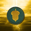 GOLDEN ACORN Images - 87th INFANTRY DIVISION : Created by Sam Pasquale in honor of his Father - Joe Pasquale - B-346.

Sam has generously made them available to members of the 87th Infantry Division Legacy Association.

The last 2 images are animated. 

In addition to using them on your computer, 
these images can also be used on mobile devices such as cell phones.
All images in this gallery are Copyright2008 by 2Thumbz.  All rights reserved.

Thank you so much, Sam, what an awesome way to pay tribute to your Father and the 87th Infantry Division.  

To see all photos submitted from many about the 87th Infantry Division, or to submit yours, go to:
               http://history06.smugmug.com

and 

For info on 87th Infantry Division Association:
http://www.87thinfantrydivision.com